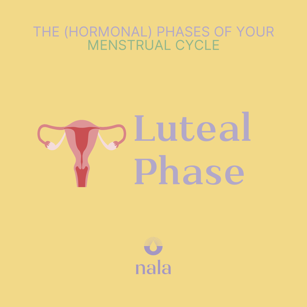 The (Hormonal) Phases of Your Menstrual Cycle: Luteal Phase