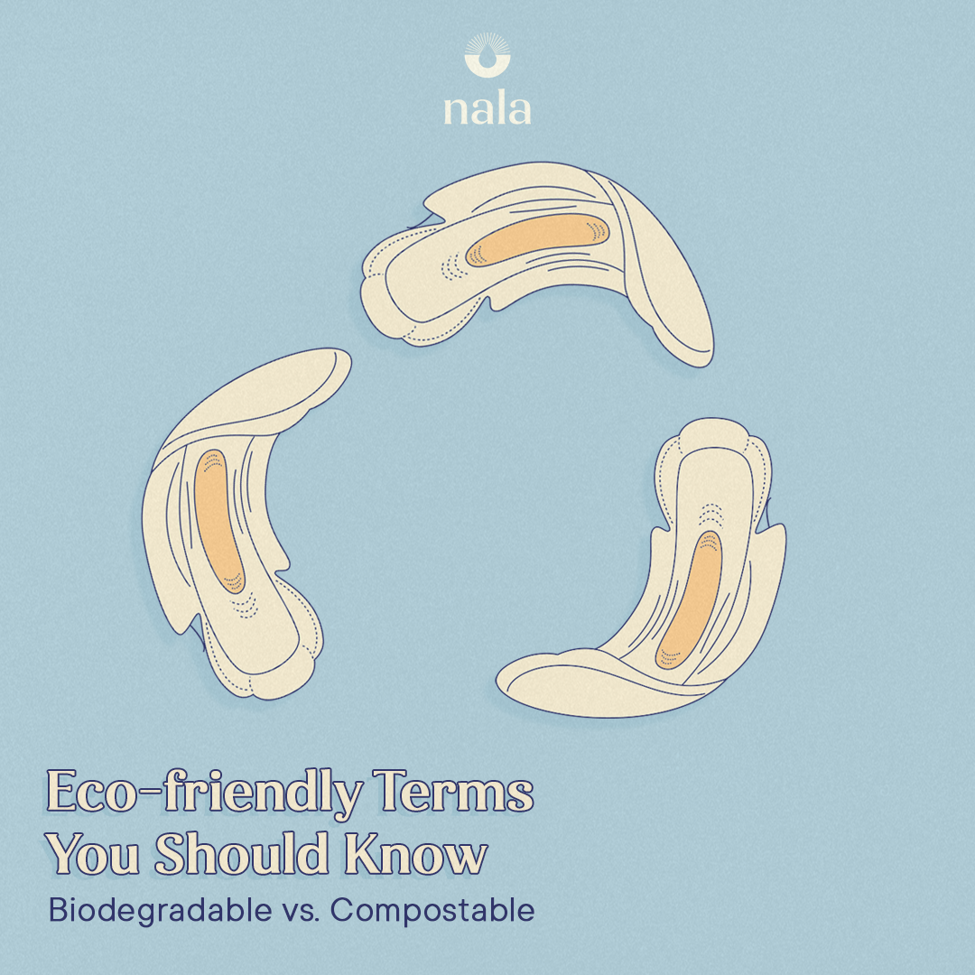 Biodegradable vs Compostable: Eco-friendly Terms You Should Know