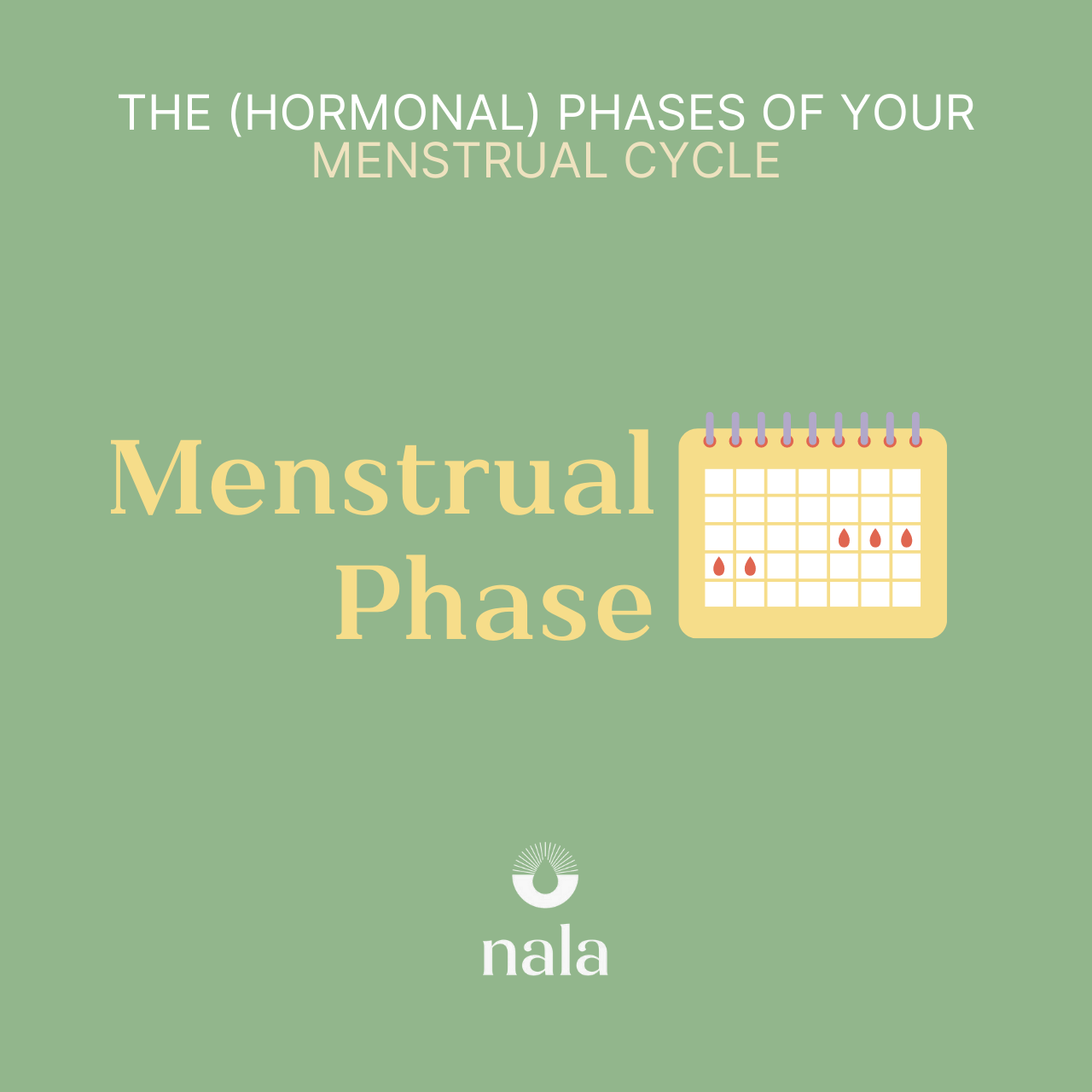 Menstrual Phase: The most famous phase 🩸