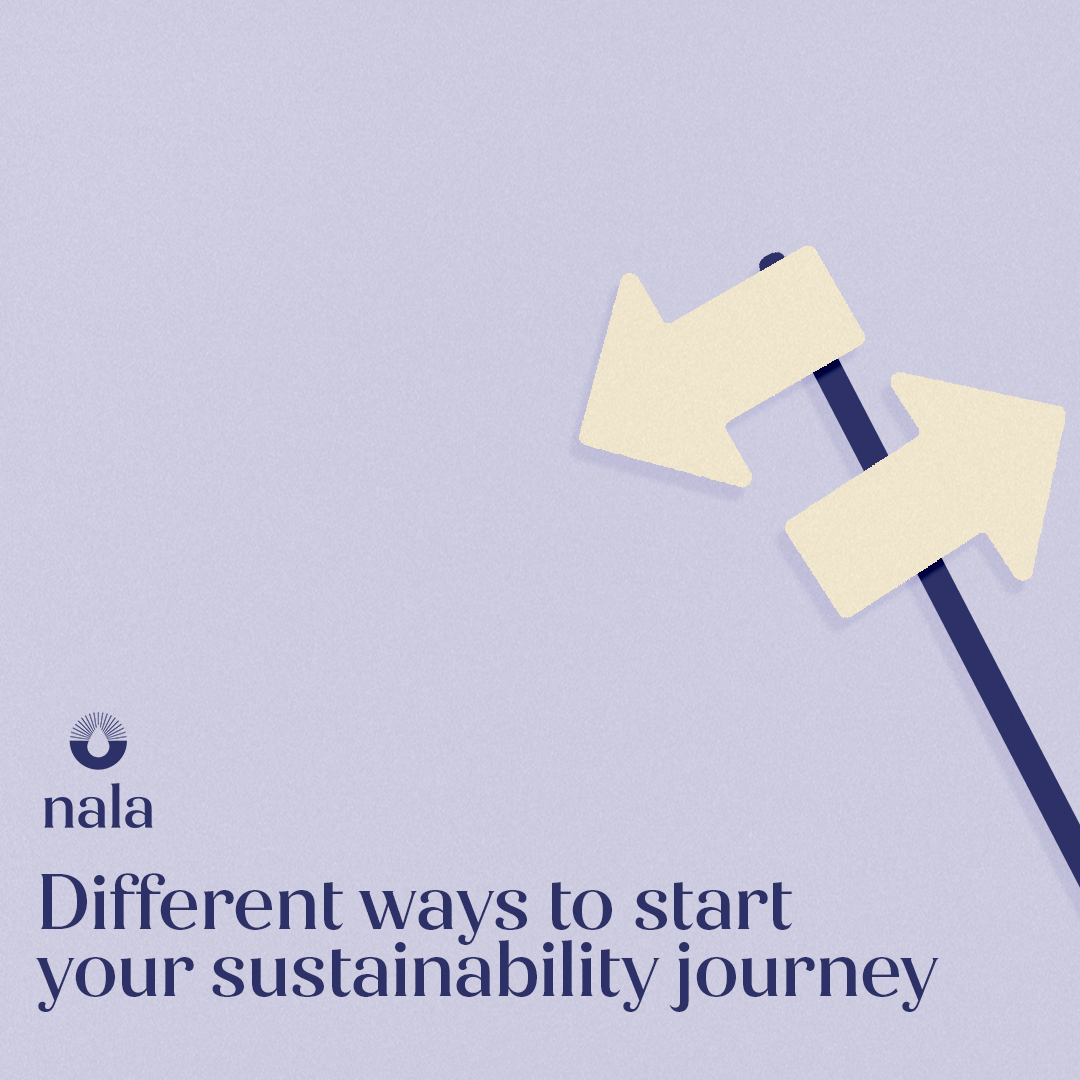 Starting your sustainability journey: No better time to start than now! 🌱